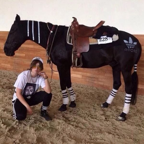 This is why mounted police exist - Horses, The photo, Adidas, Gopniks