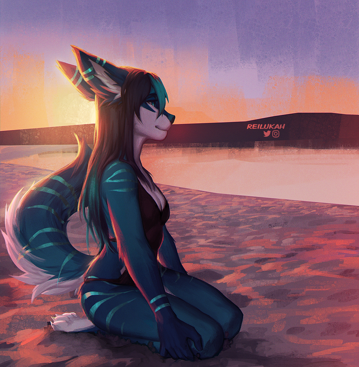 Sunset on the Beach , Furry Art, Furry Fox, Furry edge, , , , Reilukah