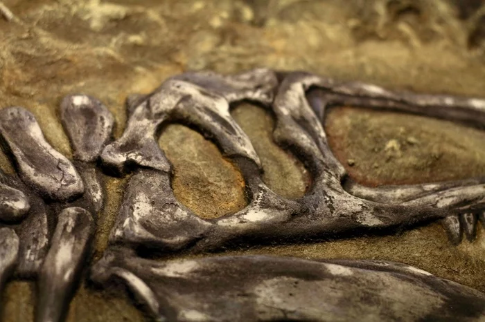 Girl+putty+chisel+Dinosaurs=... - My, Bas-relief, Needlework without process, Skeleton, Dinosaurs, With your own hands, Longpost