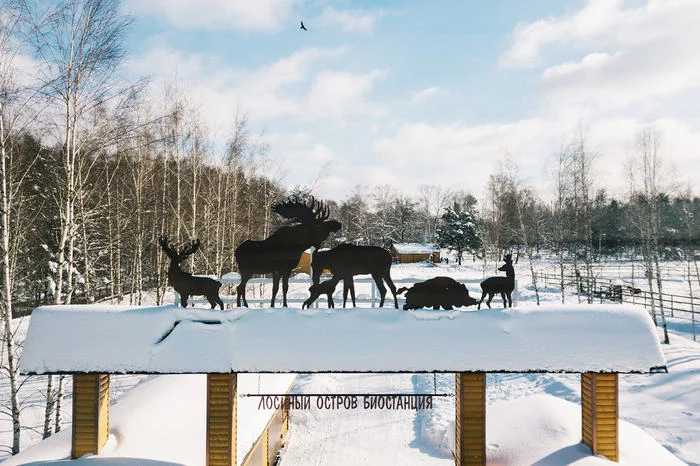 Help collect signatures against deforestation of Elk Island - Elk Island, Clean forest, Elk Island