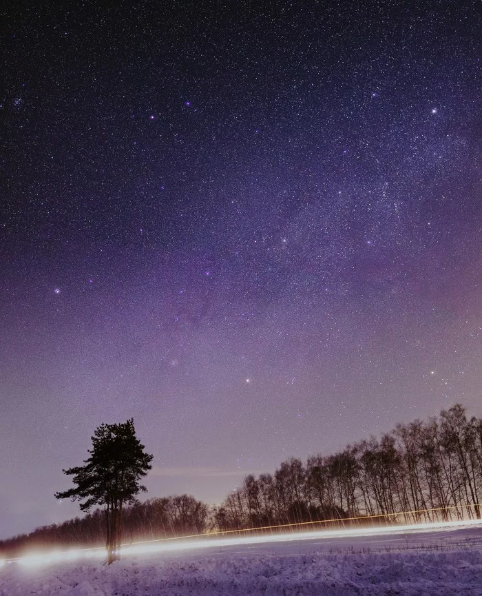 Starry perspective or Winter Milky Way over the road. - My, Astrophoto, Stars, Road, Tree