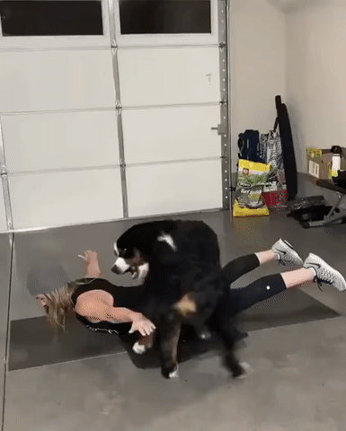 Тренировка с собакой