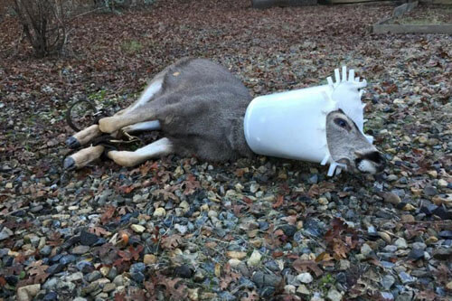               , , 
