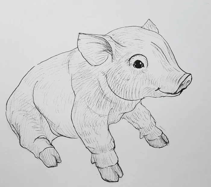 Oink oink - My, Pig, Animalistics, Animals, Pets