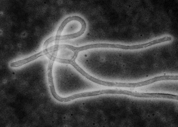 Europe approves world's first Ebola vaccine - The science, news, The medicine, Ebola, Vaccine