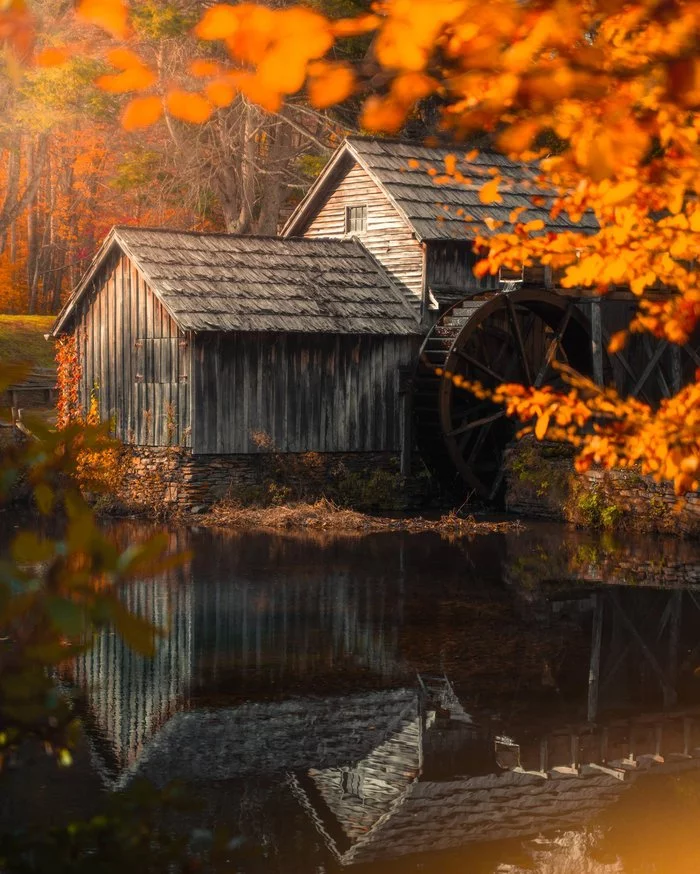 autumn mill - The photo, Mill, Water Mill, Autumn