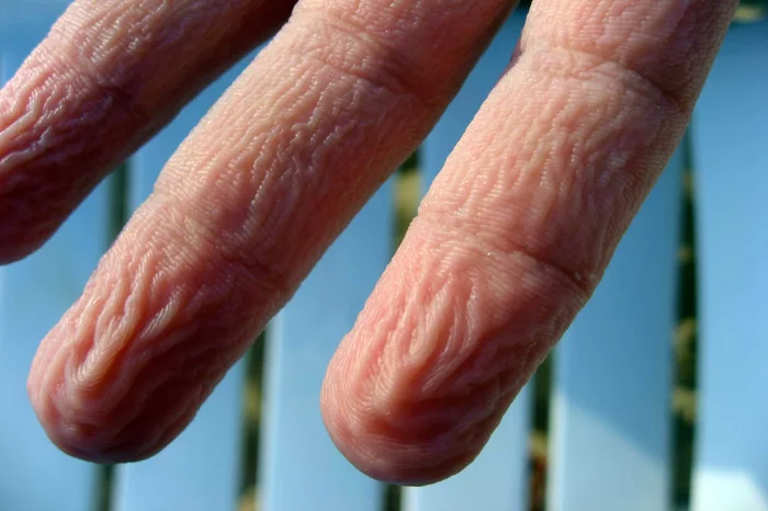 Did you know? - Longpost, Informative, Interesting, Fingers, Person, Water