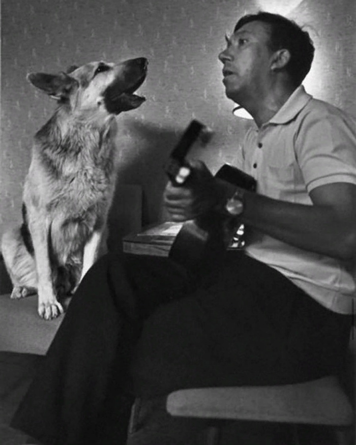 Без названия