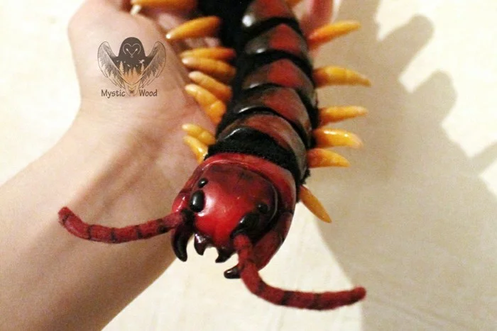 Scolopendra(handmade toy): birth - My, Scolopendra, Giant Scolopendra, Needlework with process, Handmade, Process, Polymer clay, Longpost