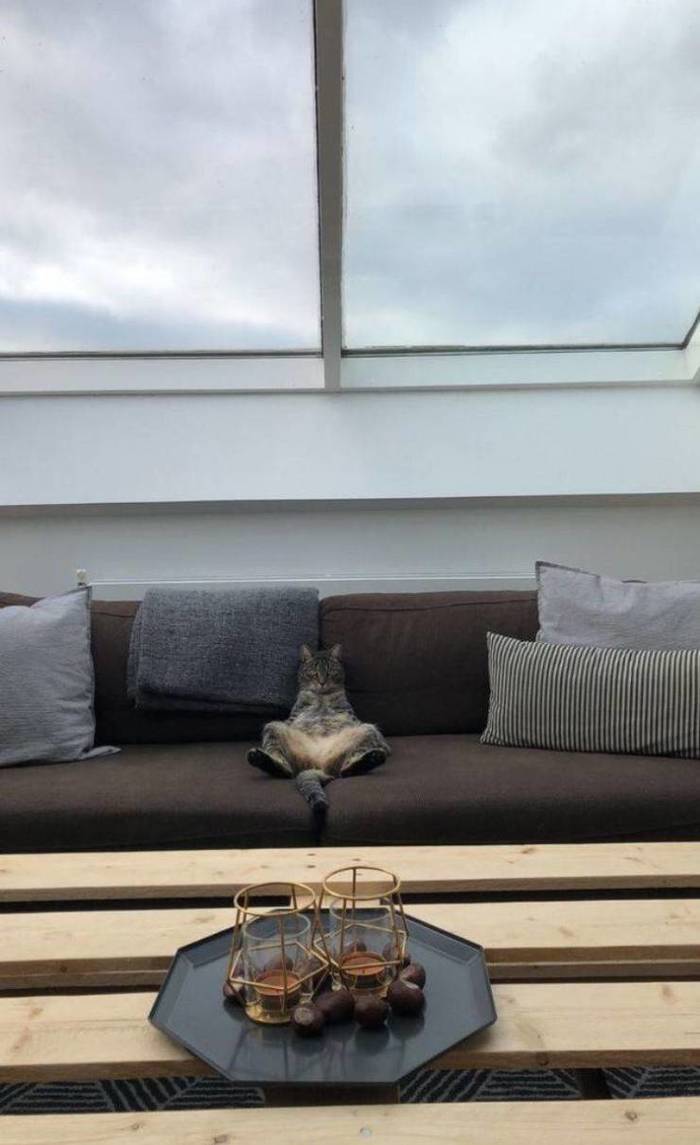 Без настроения