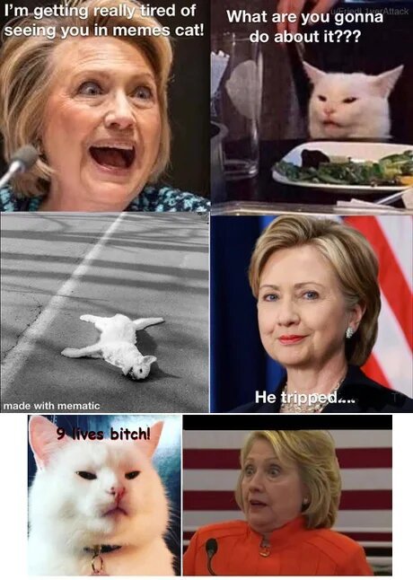 9 lives - cat, Memes, Hillary Clinton, Nine lives, Picture with text