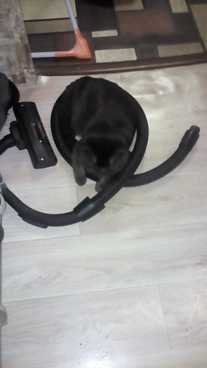 ��� � ���������)