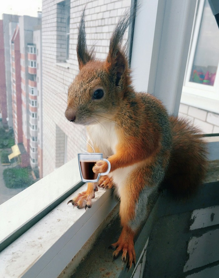 ����, ����� ��� ����� � ������