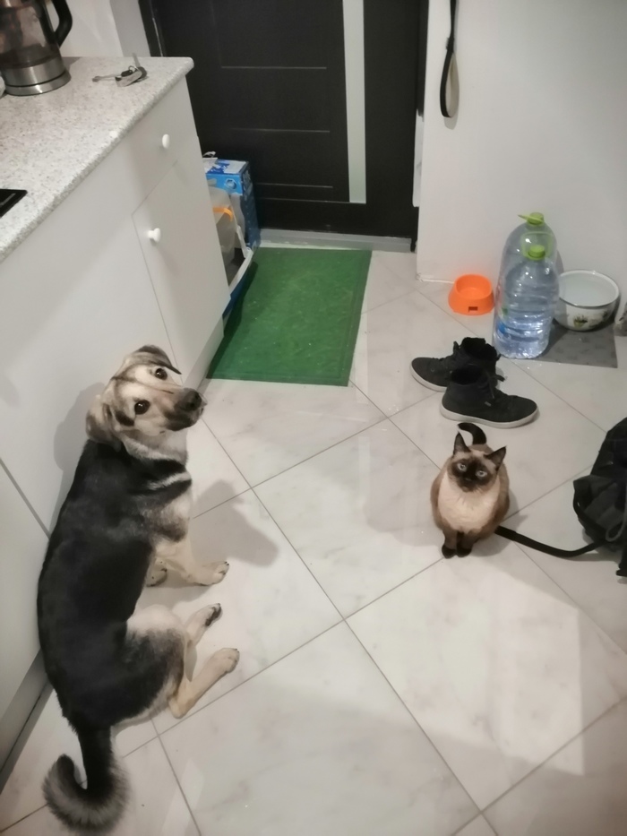 ������ ����� � ������, � ���:� "����, � ���� ������� ��� � �� �� ���� �� �� ���."