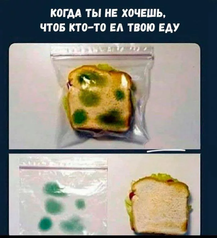 Camouflage - Package, A sandwich, Do not touch, Memes