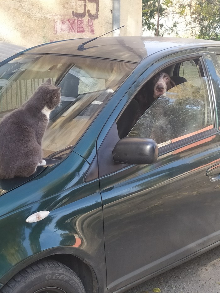 ��������