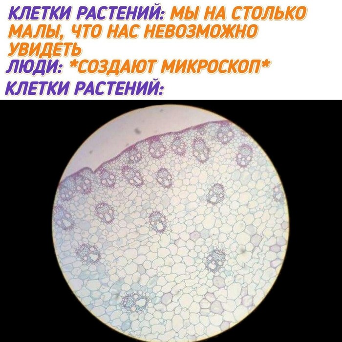 ������ �������!