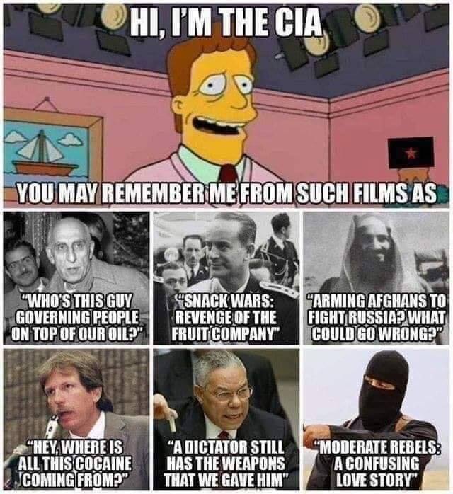 Hello! I am the CIA - Humor, CIA, Story, Gary Webb, Osama bin Laden, Colin Powell