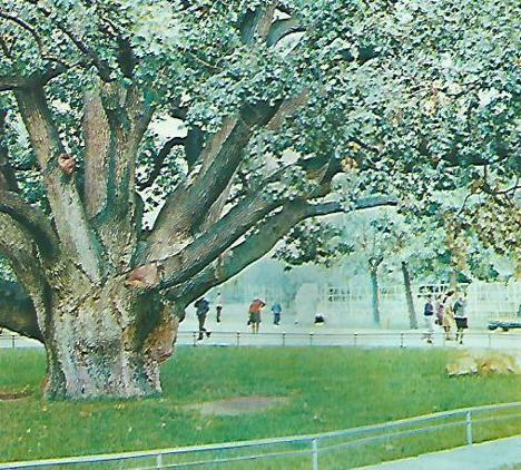 Самые добрые люди