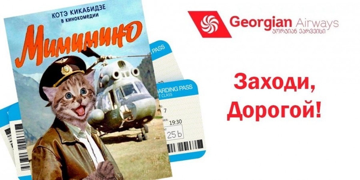 Толстый кот Аэрофлот. Реклама авиакомпании коты.