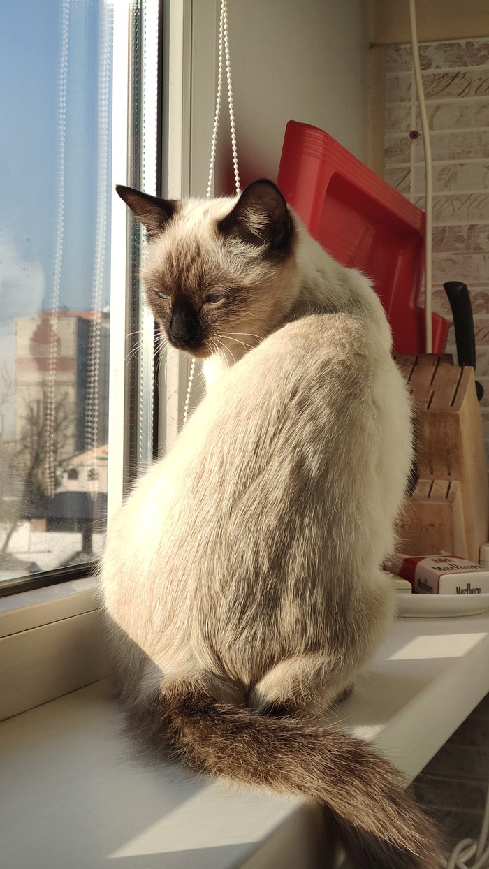 На подоконнике