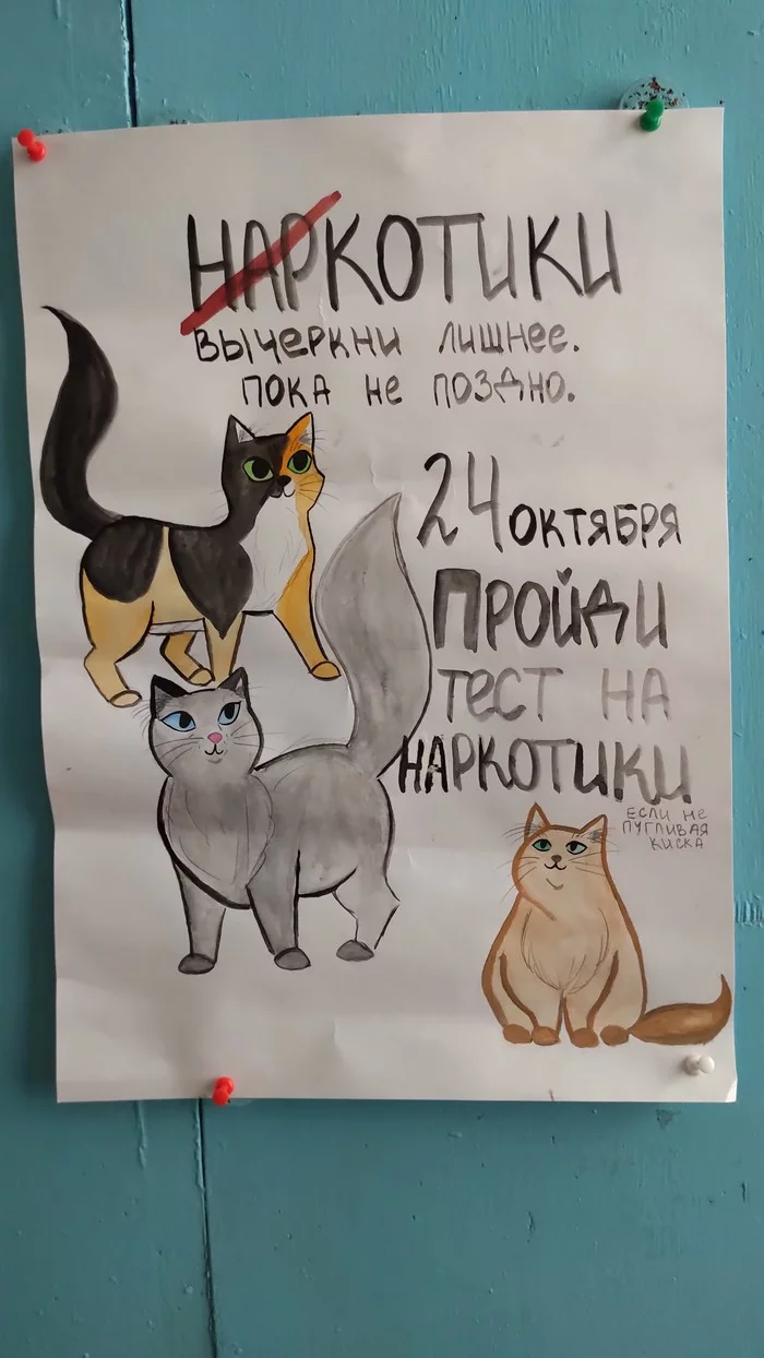 Creative SSU - My, Saratov, Ssu, Drugs, cat, Drawing