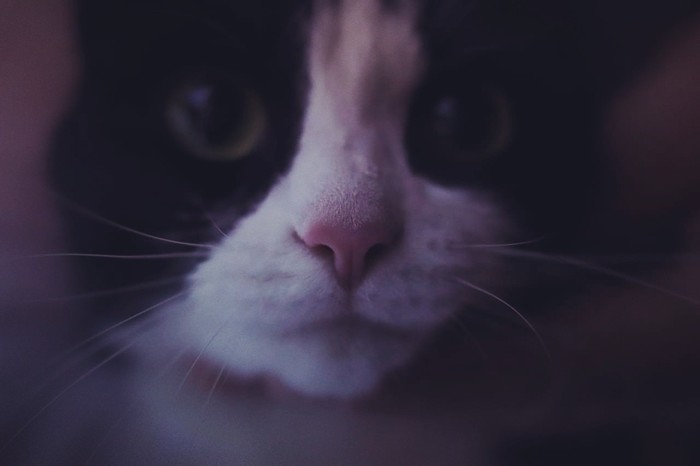 ������� ������� ��� � �����.