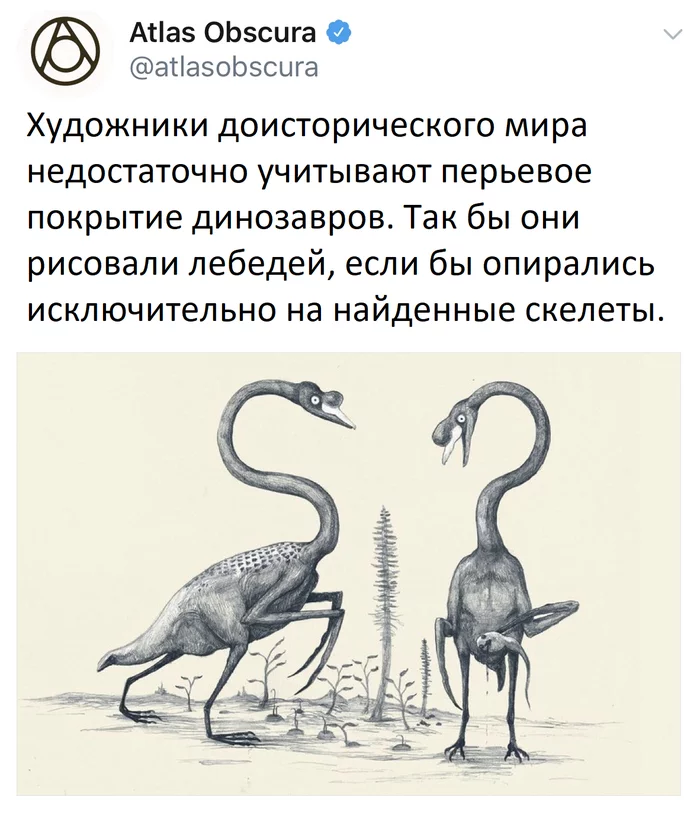bony swans - Swans, Dinosaurs, , Paleontology, Drawing, Translated by myself, Screenshot