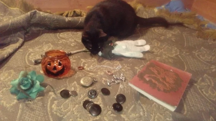 Witch set - My, Witches, cat, Sabrina the Little Witch, Halloween, Witchcraft