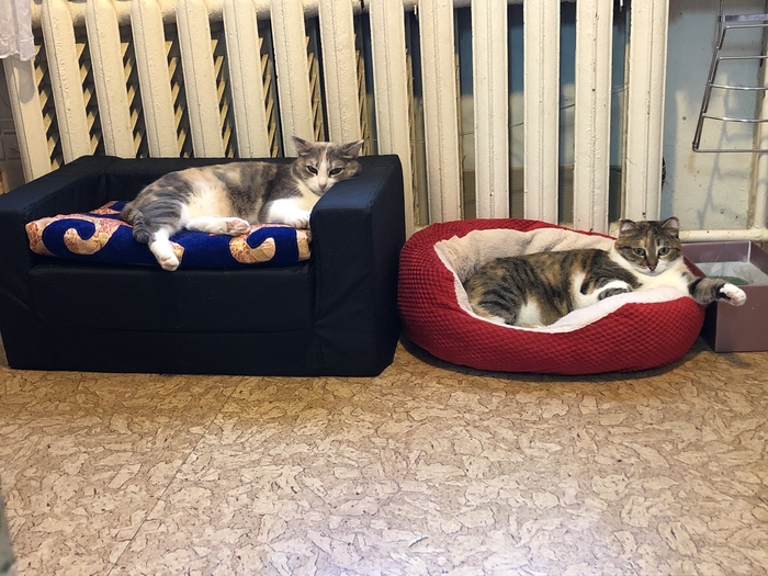 Поближе к теплу