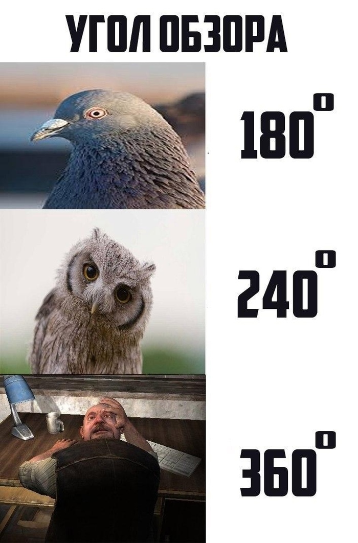   ,  , 