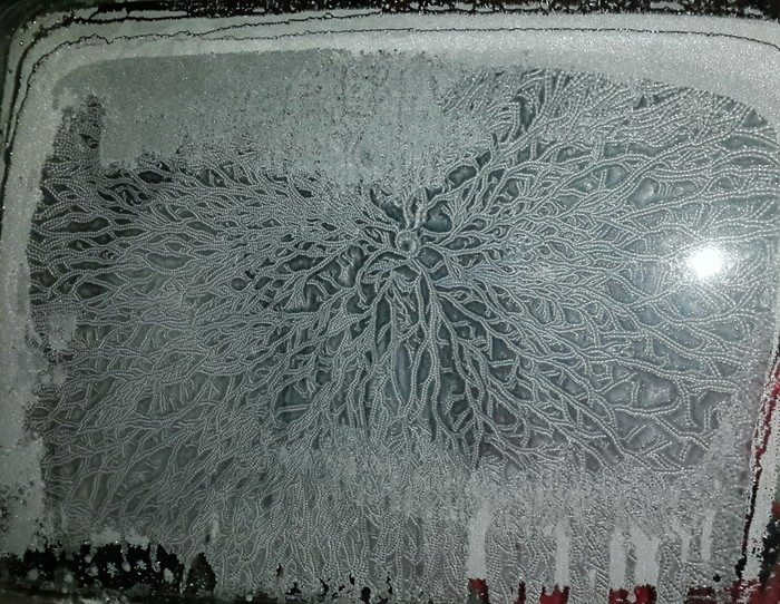 ���� �� ������