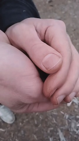 Как сделать инкубатор без терморегулятора