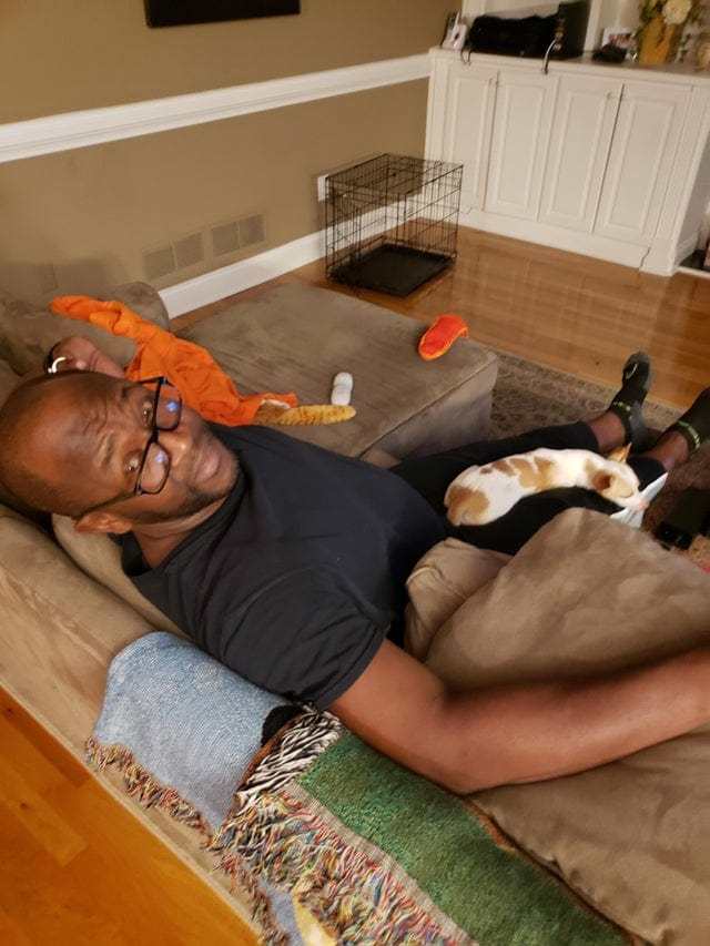 25 fathers who were categorically against animals in the house. And now there is true love between them - cat, Dog, Father, Longpost