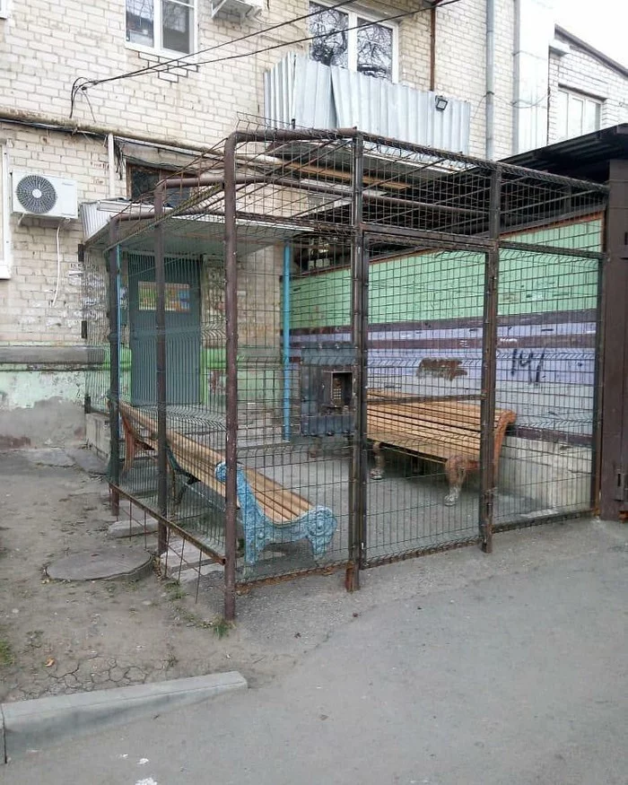 Nothing unusual, just a yard in Nevinnomysk. - Safety, Lattice, Nevinnomyssk