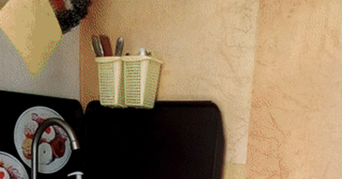 Throw out the trash on time, otherwise you too may get... - GIF, Humor, Trash can, cat