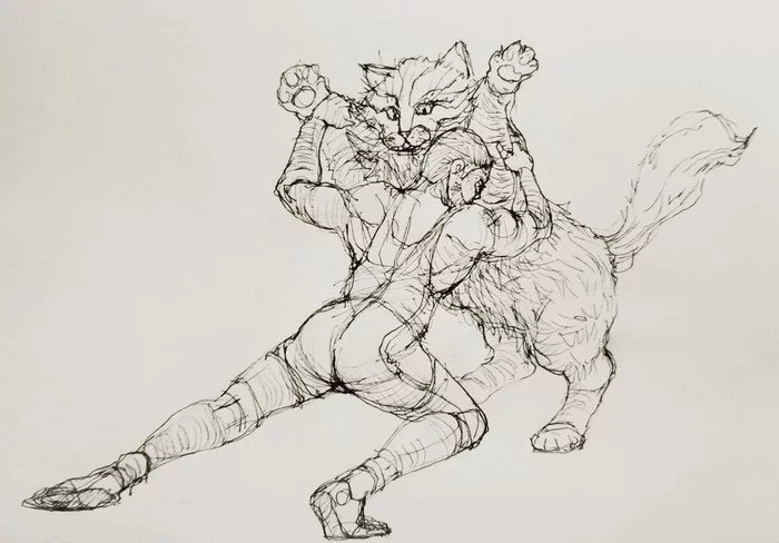 Fight between cat and grekorim - My, Fight, cat, Greco-Roman wrestling, Drawing