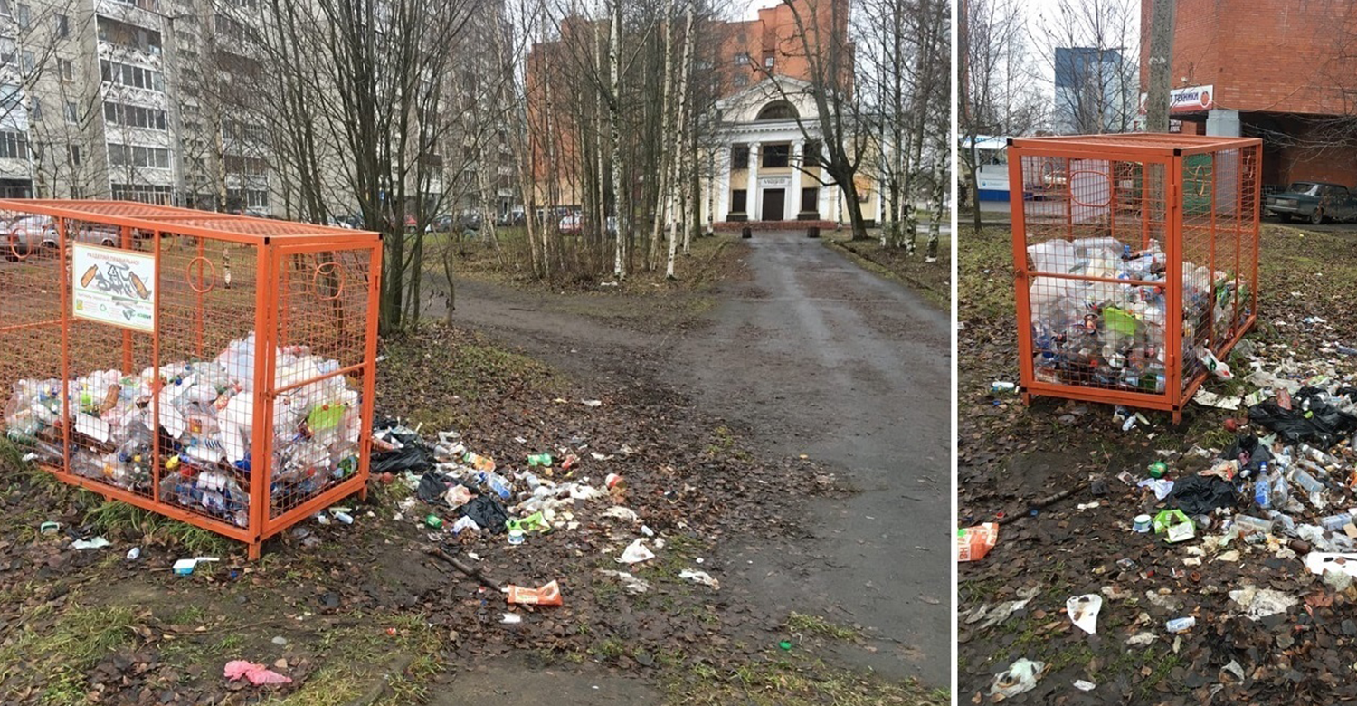 Чиновница из Петрозаводска назвала мусорящих человекоподобных мразями,  теперь её просят уволиться. | Пикабу