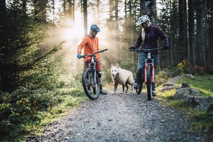 Along the trails of Northern England with a dog) - A bike, Dog, Pokatushki, Trail, Mtb, friendship, Video, Longpost