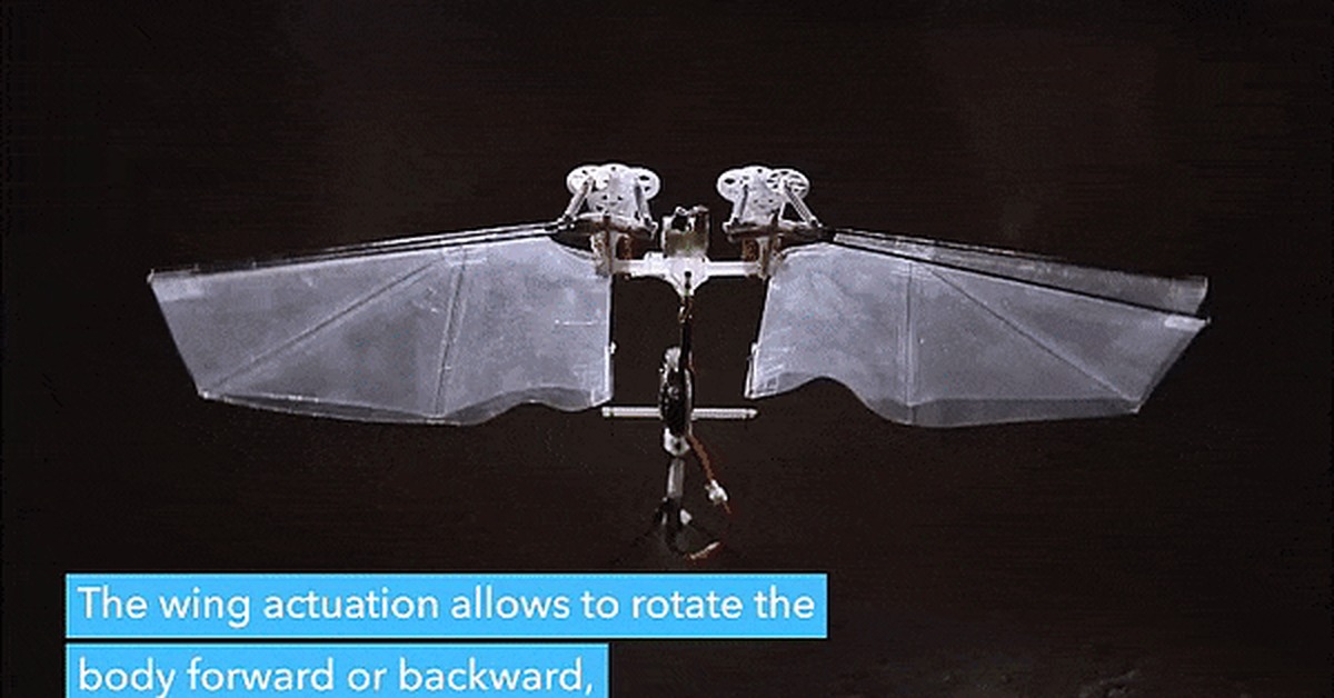 New achievements in robotics: drone flies like an insect - Drone, Flight, Robot, Robot Insect, GIF