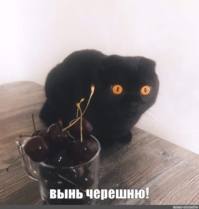 �� ������� ������� ����