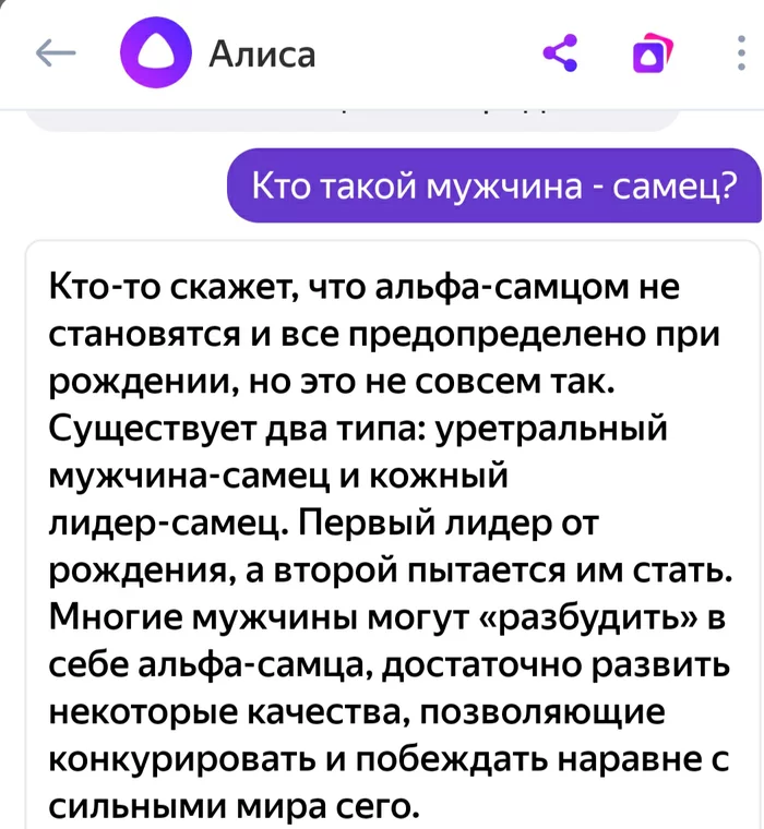 So who is he, the alpha male? - Alpha male, Screenshot, Yandex Alice