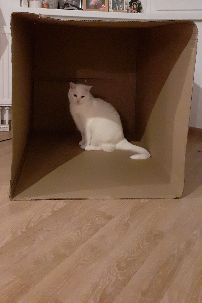     ,  , ,   , 
