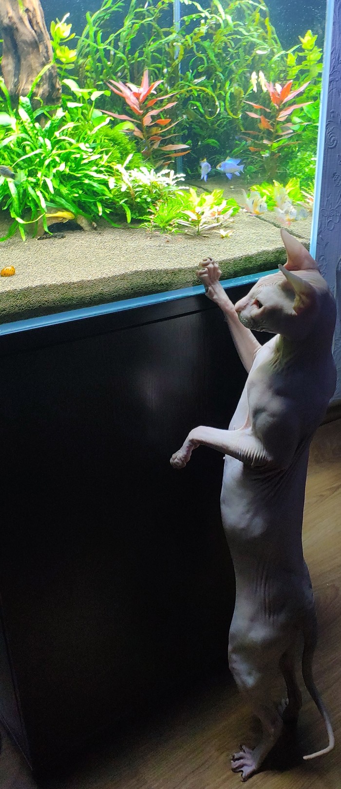 ���������� �������.