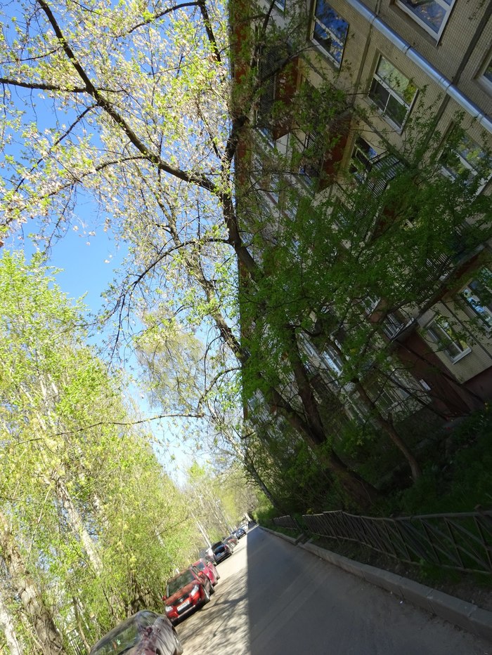 Свет и тень