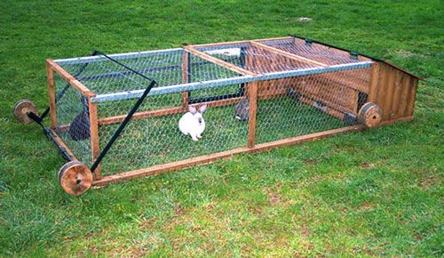 Mobile farm - My, Farm, Birds, Hen, Сельское хозяйство, Video, Longpost, Rabbit