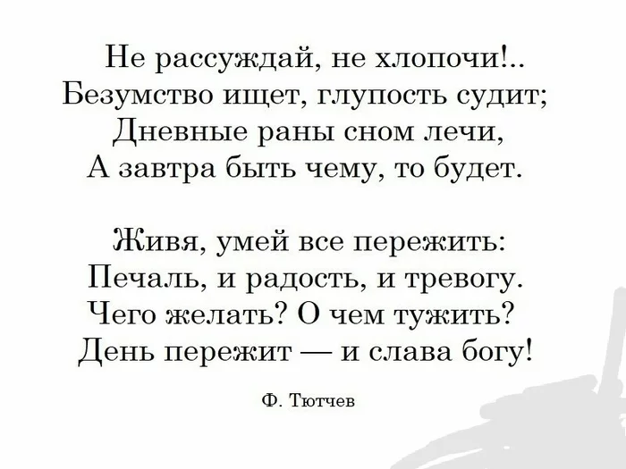 Diary of a pastry chef. Day 10. “Girl from the sales department” - My, Sochi, Adler, Saint Petersburg, Russia, Business, Longpost