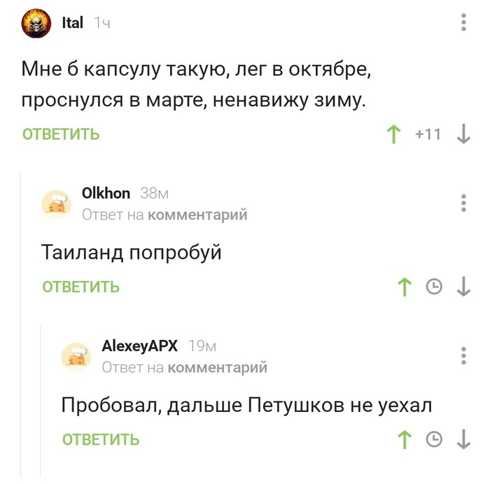 Немного об анабиозе - Юмор, Скриншот, Комментарии на Пикабу