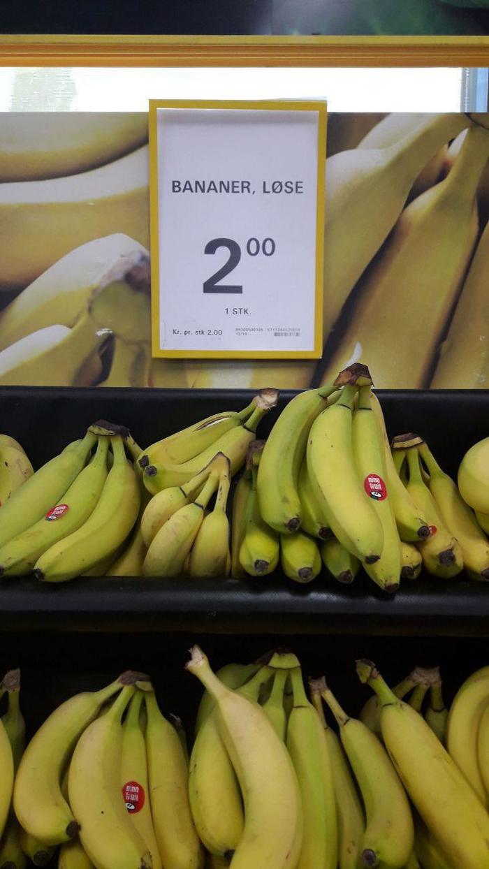 Жизнь в Дании, часть 2 Дания, Переезд, Длиннопост