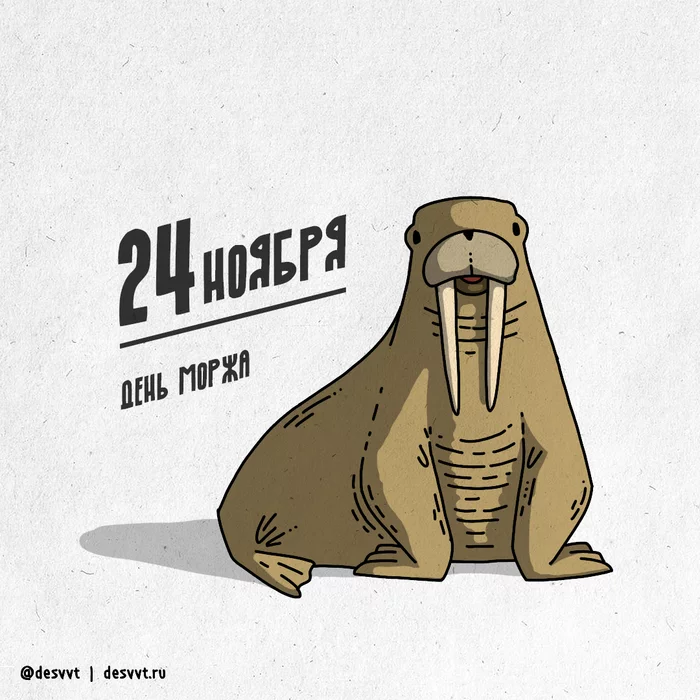 November 24 - Walrus Day - My, Project calendar2, Drawing, Illustrations, Walruses